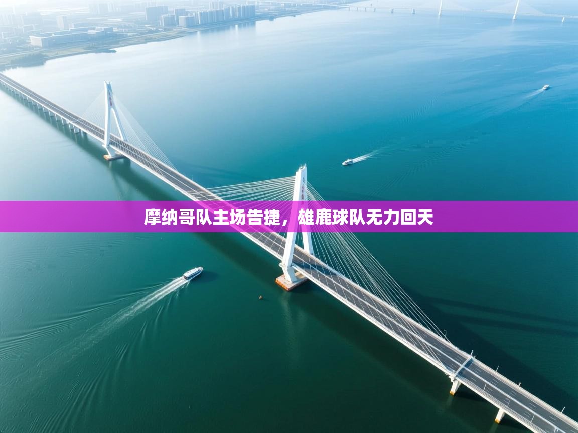 摩纳哥队主场告捷，雄鹿球队无力回天  第2张