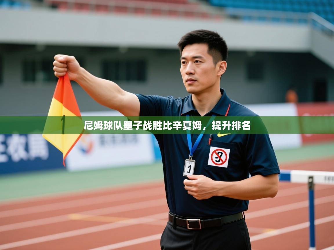 尼姆球队墨子战胜比辛夏姆,提升排名 第2张